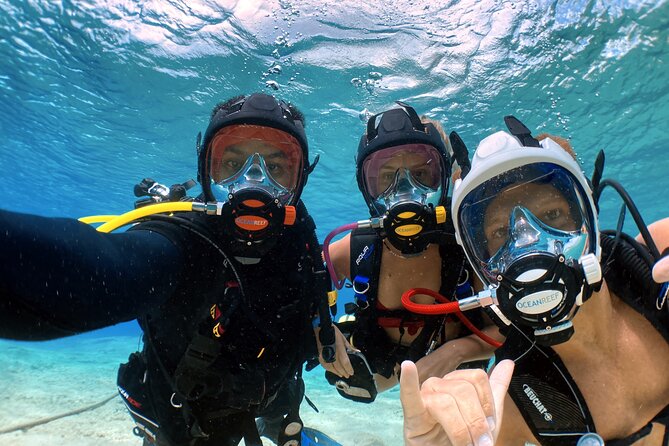 Diving For People Without Experience - Shallow-water comfort in Cozumel: 8 meters, little current, shore entry