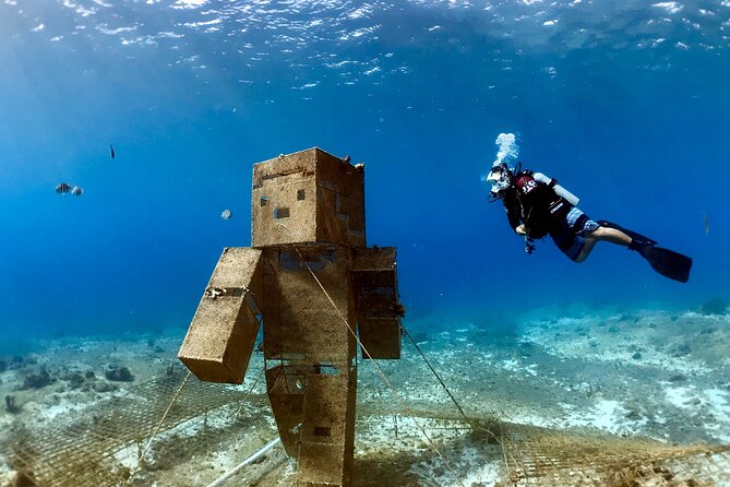 Diving For People Without Experience - Considerations: who should skip it, and what to watch for