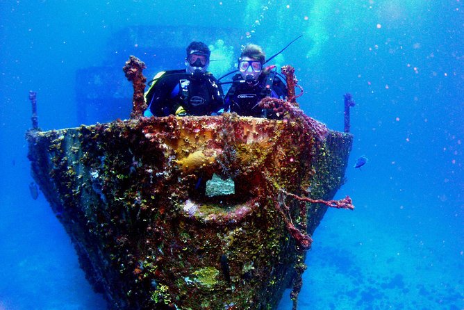 Diving in Cancun for Certified Divers | 2 Dives | All Inclusive - Price and Value: Why $161.24 Can Make Sense for Two Sessions