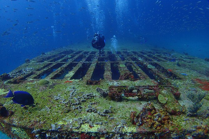 Diving in Cancun for Certified Divers | 2 Dives | All Inclusive - Who This Tour Fits Best (Certified Skills Required)