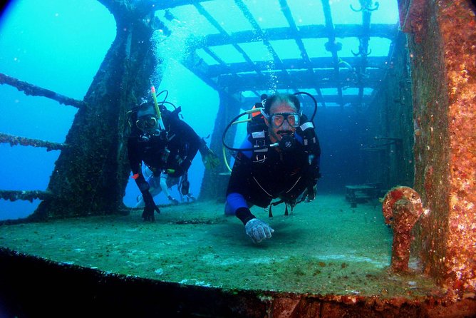 Diving in Cancun for Certified Divers | 2 Dives | All Inclusive - Cancun Reefs: Marine Life Chances and What Your Guide Should Do