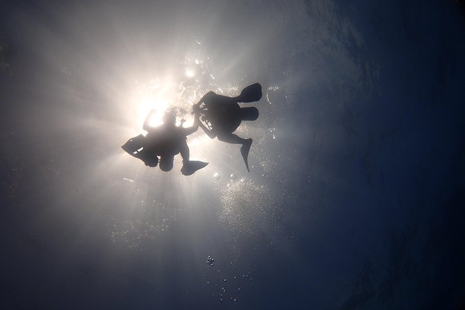 Diving in the Mexican Caribbean for Beginners | 2 Tanks 2 Dives | All Inclusive - Underwater Stop Two: A Natural Reef for Tropical Variety