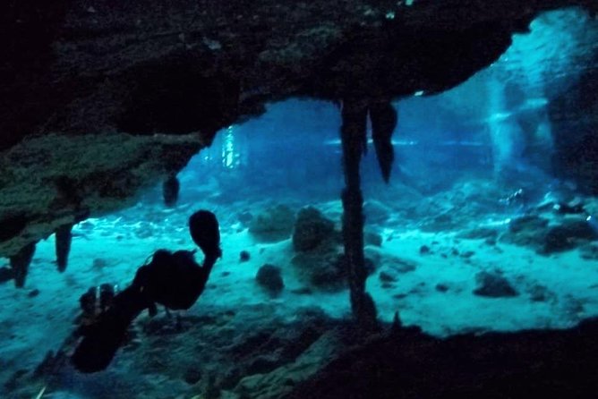 Dos Ojos Cenote Cavern Dive- The Barbie Line and The Bat Cave - Barbie Line and Bat Cave: what the two 45-minute routes mean