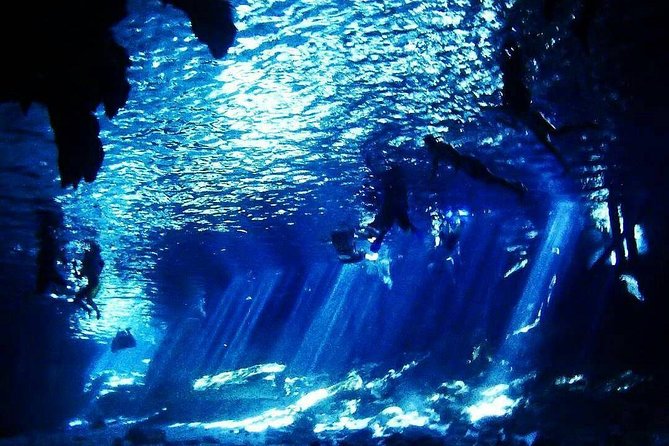 Dos Ojos Cenote Cavern Dive- The Barbie Line and The Bat Cave - Who should book this cavern scuba at Dos Ojos