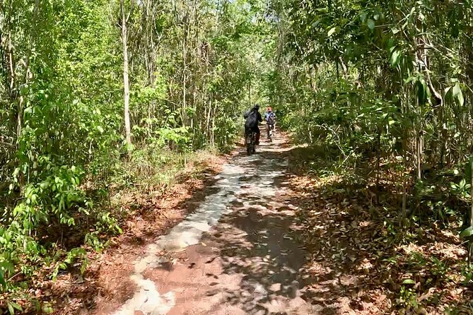 E-bike cenote jungle city tour in Playa del Carmen - Hidden Cenote Swim Time: Dock Jumps and Snorkeling