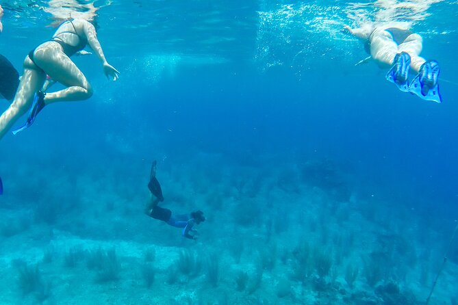 E-bike West Coast Snorkeling Tour - Stop 3: Skyreef Beach Club Snorkeling With Real Beach Time