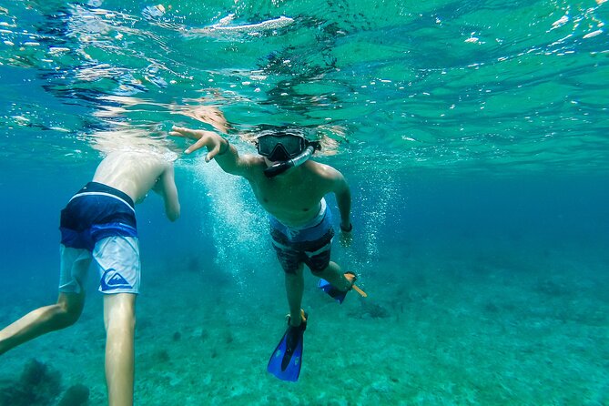 E-bike West Coast Snorkeling Tour - Stop 4: Mi Mexico Lindo Tequila Tour and Tasting