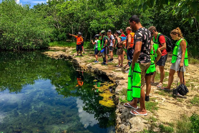 E-bike West Coast Snorkeling Tour - What to Wear and Pack for a Smooth Half-Day
