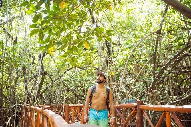 Eco Park Casa Tortuga Cenotes and Tulum Ruins! Riviera Maya Round Transportation - The Logistics That Matter: Timing, Lines, and the Van Wait
