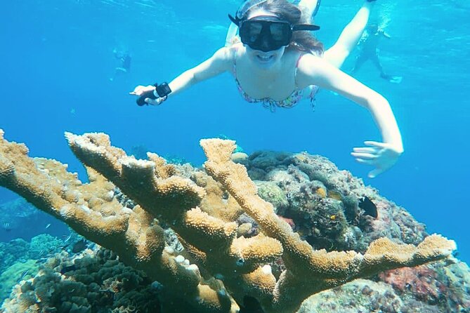 El Cielo Cozumel Snorkel Private Boat + Food + Drinks + Beach - San Francisco Beach Club check-in, gear, and the reality of getting there