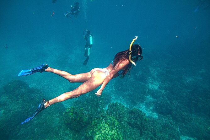 El Cielo Cozumel Snorkel Private Boat + Food + Drinks + Beach - Stop 3: El Cielo for starfish photos, and maybe turtles
