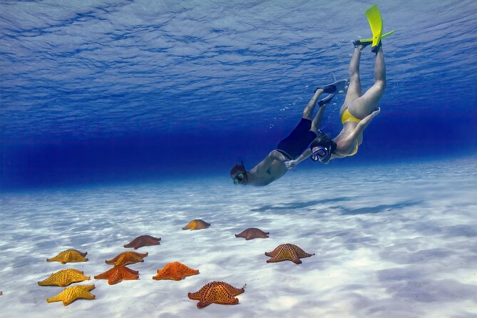 El Cielo Cozumel Snorkel Private Boat + Food + Drinks + Beach - A 3-hour private boat plan that actually flows