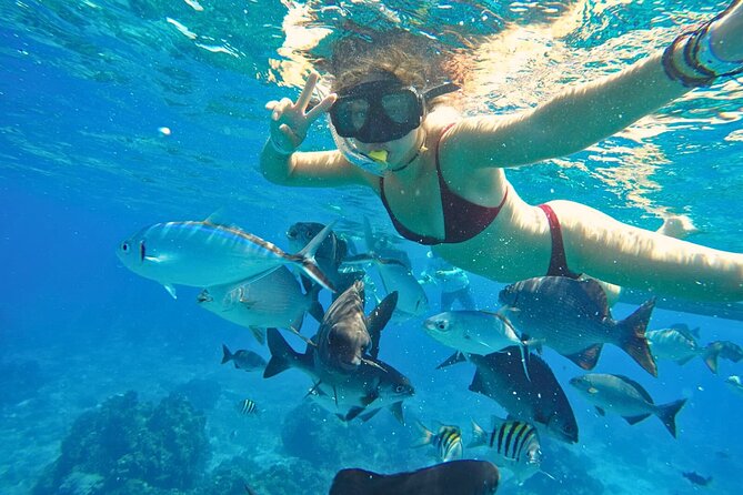 El Cielo Cozumel Snorkel Share Boat + Reefs + Food Drinks + Beach - Stop 2: Colombia Reef for More Fish and Color