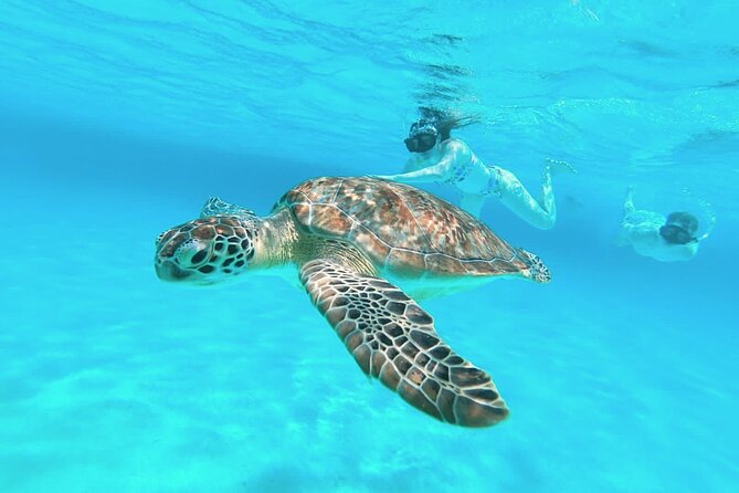 El Cielo Cozumel Snorkel Share Boat + Reefs + Food Drinks + Beach - Small Boat Reality: Comfort, Speed, and Seasickness Planning