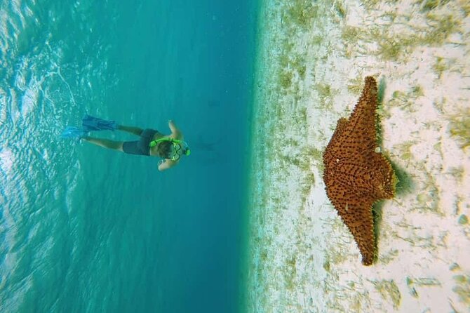 El Cielo Cozumel Snorkel tour by Catamaran - Palancar Reef snorkeling: when the water starts doing the talking