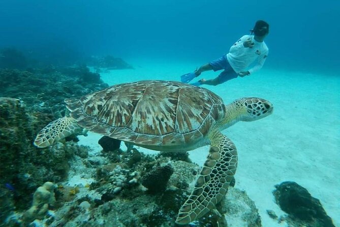 El Cielo Cozumel Snorkel tour by Catamaran - Food and drinks on board: ceviche, beers, margaritas, and the vibe