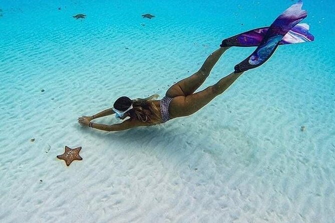 El Cielo Cozumel Snorkeling Tour - All-Inclusive - El Cielo Playa: Calm Water, Clear Visibility, and a Real Food Break