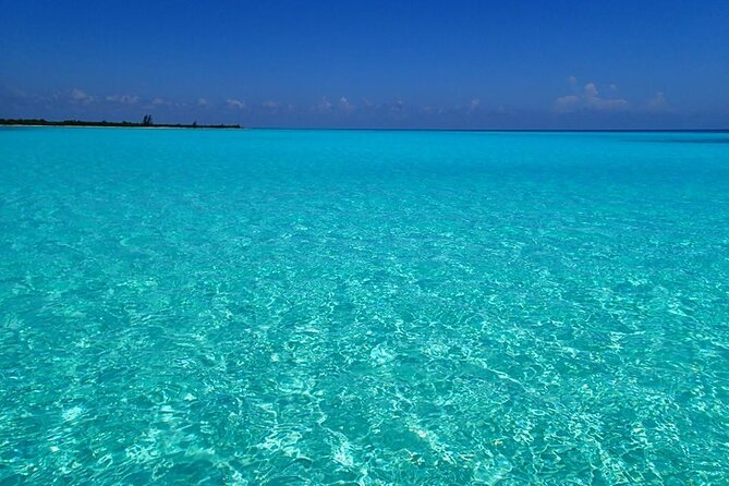 El Cielo Cozumel Snorkeling Tour - All-Inclusive - Palancar Reef First, Because This Is Where the Sea Life Starts