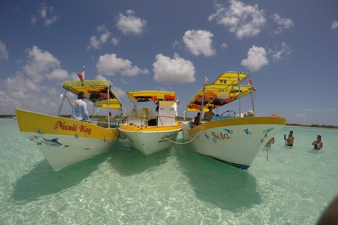 El Cielo Cozumel Snorkeling tour by Private Boat - Price and value: what $789 buys for up to 7 people