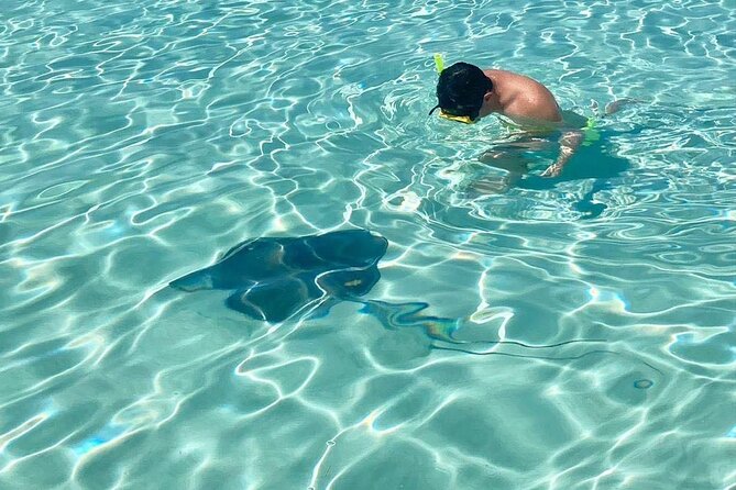 El Cielo Cozumel Snorkeling tour by Private Boat - Playa El Cielo: starfish on sand, shallow snorkeling payoff