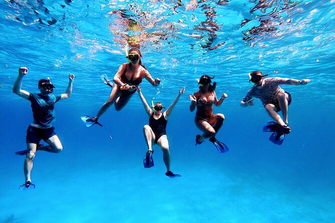 El Cielo Cozumel Snorkeling tour by Private Boat - Chankanaab Adventure Beach Park and Chankanaab Reef: a scenic middle stretch