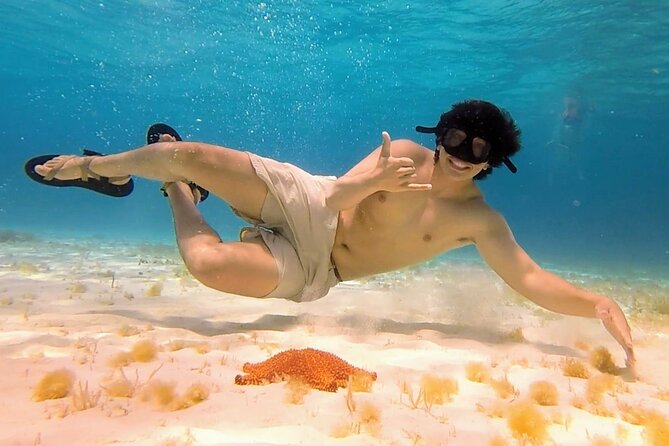 El Cielo Cozumel Snorkeling tour by Private Boat - Dzul-Ha Reef, Cardona Reef, and Villa Blanca Wall: where spotting skills pay off