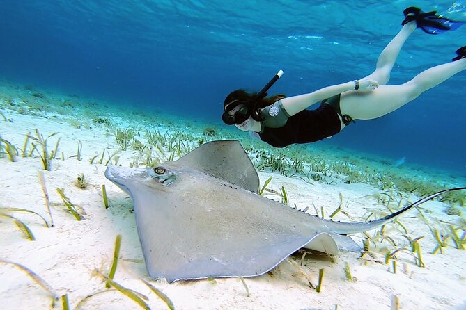 El Cielo Cozumel Snorkeling tour by Private Boat - Meeting point and cruise-day reality at Marina Cozumel