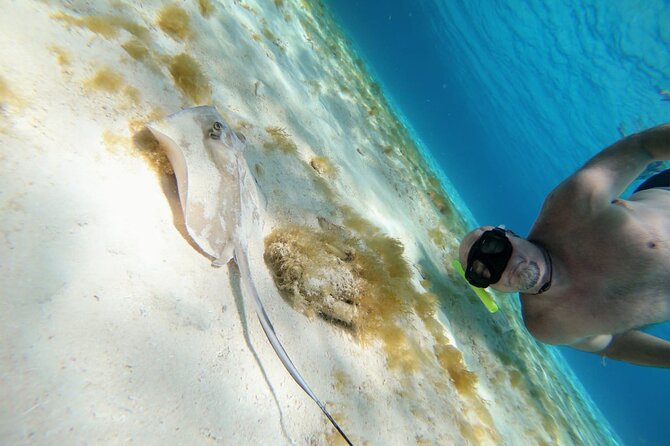 El Cielo Cozumel Snorkeling trip by Catamaran - The secluded beach break and sandbar time