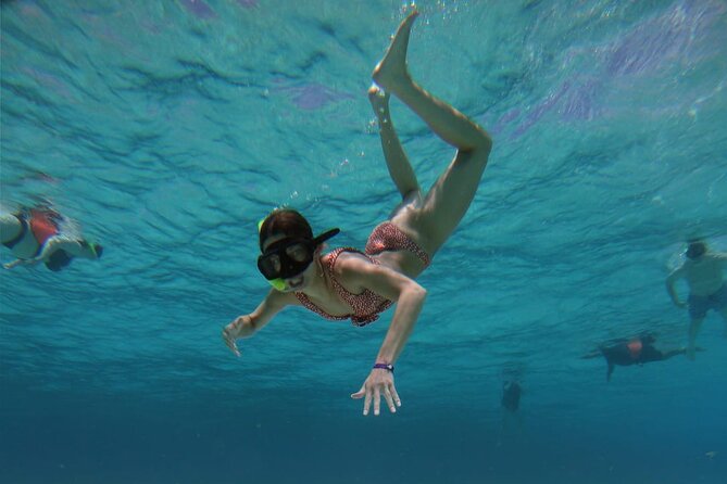 El Cielo Cozumel Snorkeling trip by Catamaran - Price and value: $95 plus the marine fee