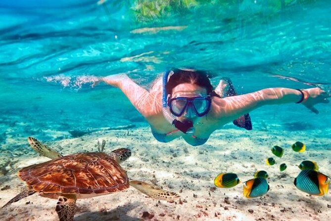 El Cielo Palancar and Columbia Snorkeling Tour - Gear rules in Cozumel: fins, vests, and reef-friendly behavior