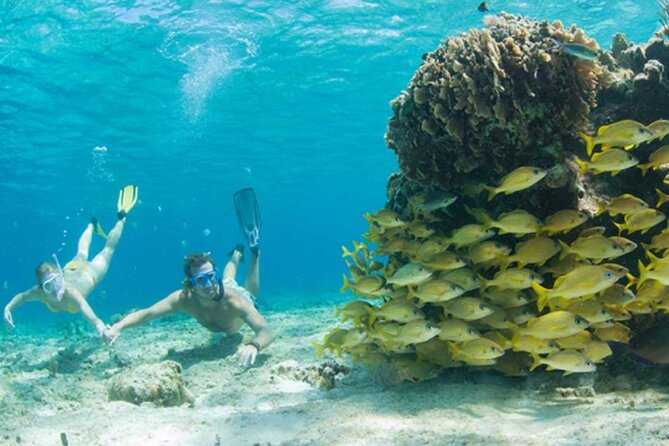 El Cielo Palancar and Columbia Snorkeling Tour - Included snacks, drinks, and the small comfort wins