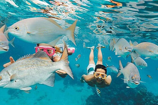El Cielo Palancar and Columbia Snorkeling Tour - The 4-hour plan in plain terms (and why the timing matters)