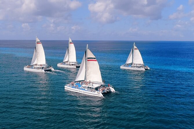 El Cielo, Palancar Snorkel & Beach Party Experience - Should you book this El Cielo, Palancar snorkel and beach party?