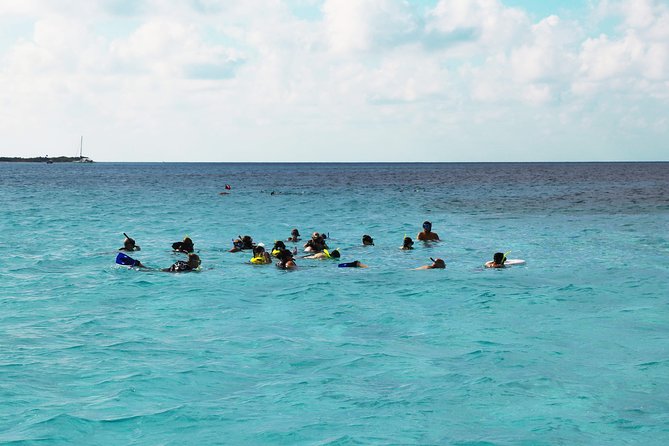 El Cielo Snorkel by Private Boat - Stop 2: Paraiso (Paradise) Reef for more wildlife variety