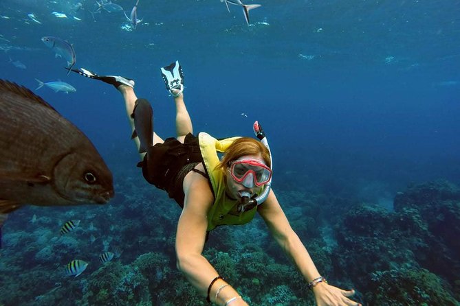 El Cielo Snorkel by Private Boat - El Cielo changes with wind, so have a flexible mindset