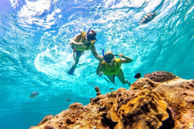 El Cielo Snorkel by Private Boat - Photos, music, and that little extra that turns it memorable