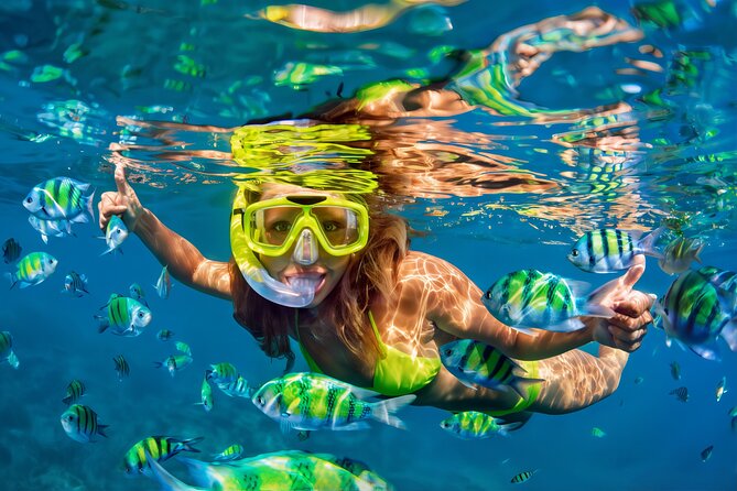 El Cielo Snorkeling Adventure in Cozumel - Key Highlights You Will Actually Care About