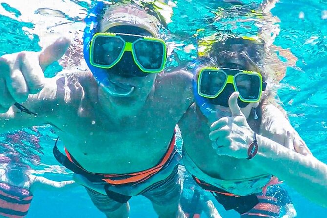 El Cielo Snorkeling Adventure in Cozumel - A 4.5-hour Reef-and-Starfish Route in Cozumel