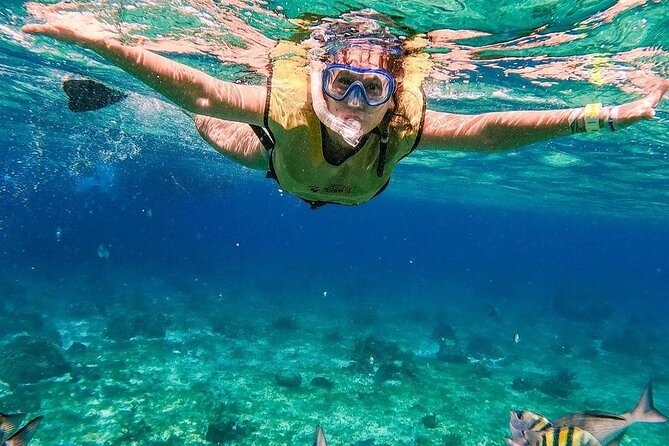El Cielo Snorkeling Adventure in Cozumel - Stop 2 at Columbia Reef: Deeper Water Cues and Bigger Possibilities
