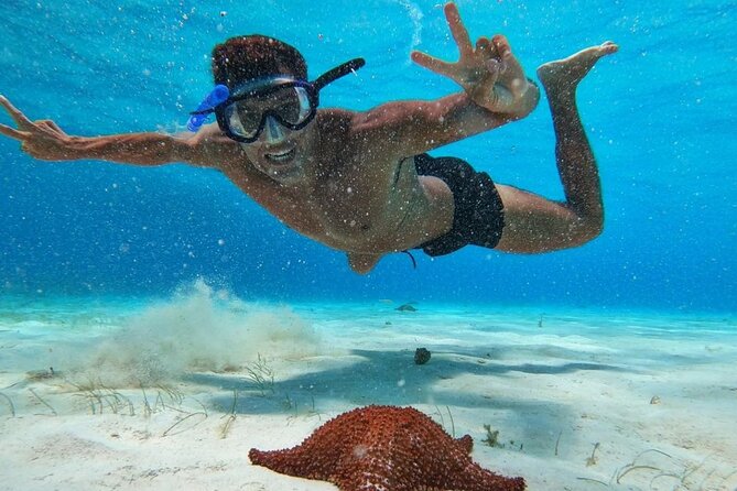 El Cielo Snorkeling Adventure in Cozumel - Dock Tax and the True Cost of Booking