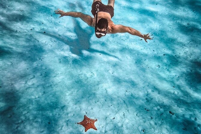 El Cielo Snorkeling Adventure in Cozumel - Anchor of Cozumel Muelle Check-in, Centro