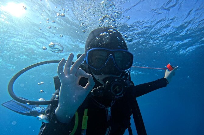 “Embark on a Professional and Passionate Scuba Diving Adventure!" - Price and value: is $105 a fair deal here?