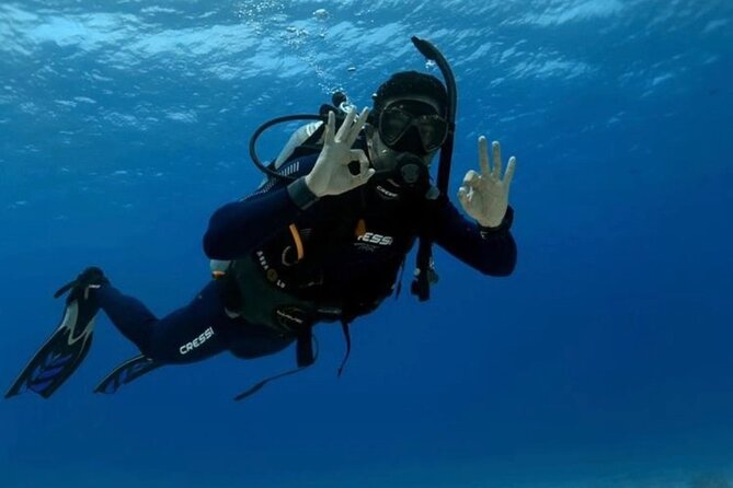 “Embark on a Professional and Passionate Scuba Diving Adventure!" - Who this is best for, and who should think twice