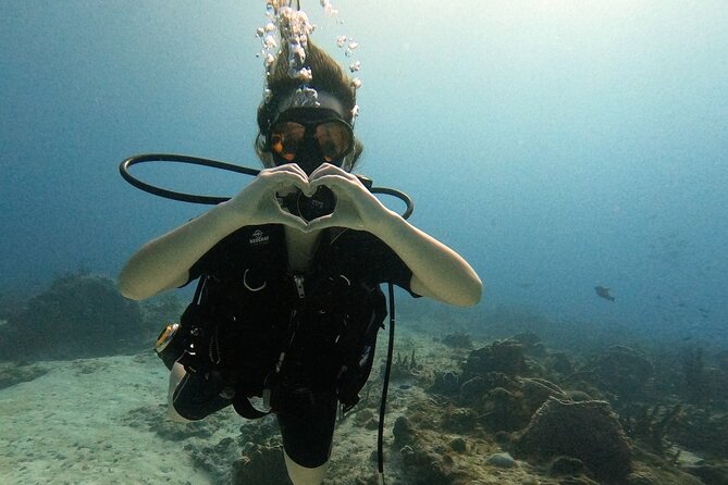 Enjoy two dives without previous experience with a boat trip - Two-Session Scuba in Cozumel: Why This 5-Hour Plan Works
