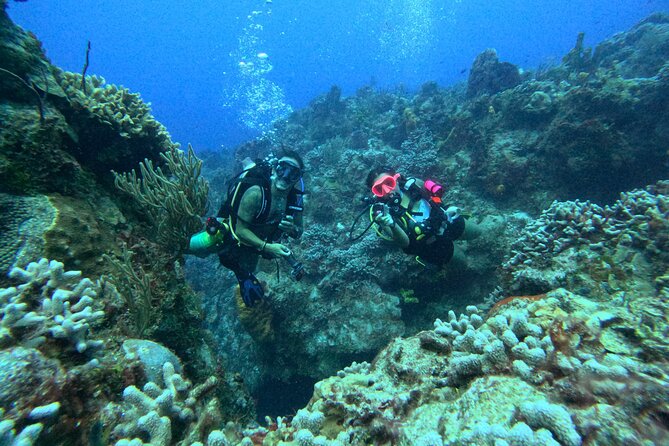 Enjoy two dives without previous experience with a boat trip - Getting to Marina Cozumel ASIPONAC: Start Time and What to Expect