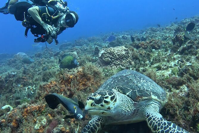 Enjoy two dives without previous experience with a boat trip - Reef Two on the Same Day: Changing Conditions, Safety First