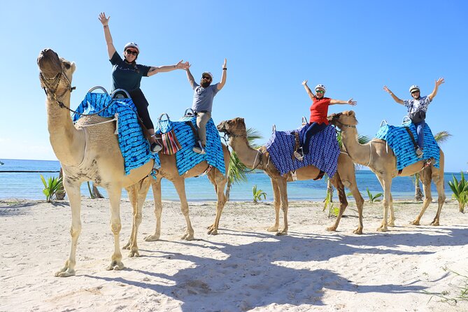 ENJOY UNIQUE CAMEL RIDE in Puerto Morelos with Transportation - Price and what it means for your day