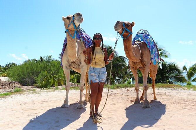 ENJOY UNIQUE CAMEL RIDE in Puerto Morelos with Transportation - Beach club time at El Dorado Maroma: use it well