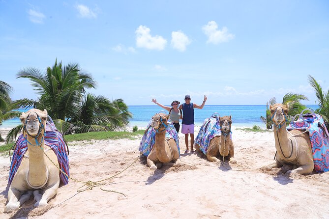 ENJOY UNIQUE CAMEL RIDE in Puerto Morelos with Transportation - Pickup in Cancun: shared vans and timing that varies