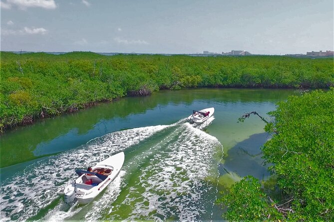 Exciting Speedboat & Snorkeling Tour in Cancun Lagoon! - Stop 2: Nichupté Lagoon for mangroves, plants, and wildlife chances